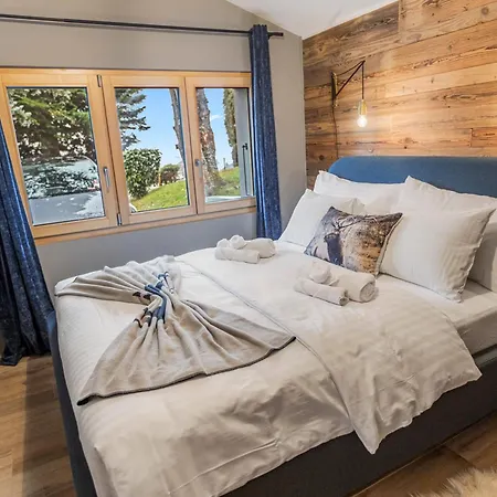 Magnifique Avec Jardin, Barbecue Et Parking Chalet Ollon
